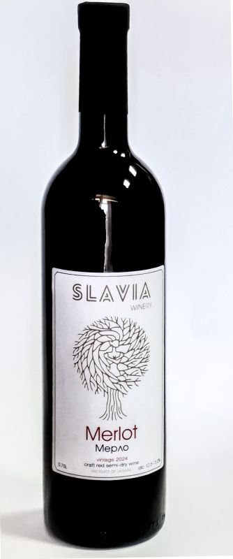 Мерло 2024  Напівсухе