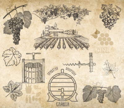 виноробня "СЛАВІЯ"